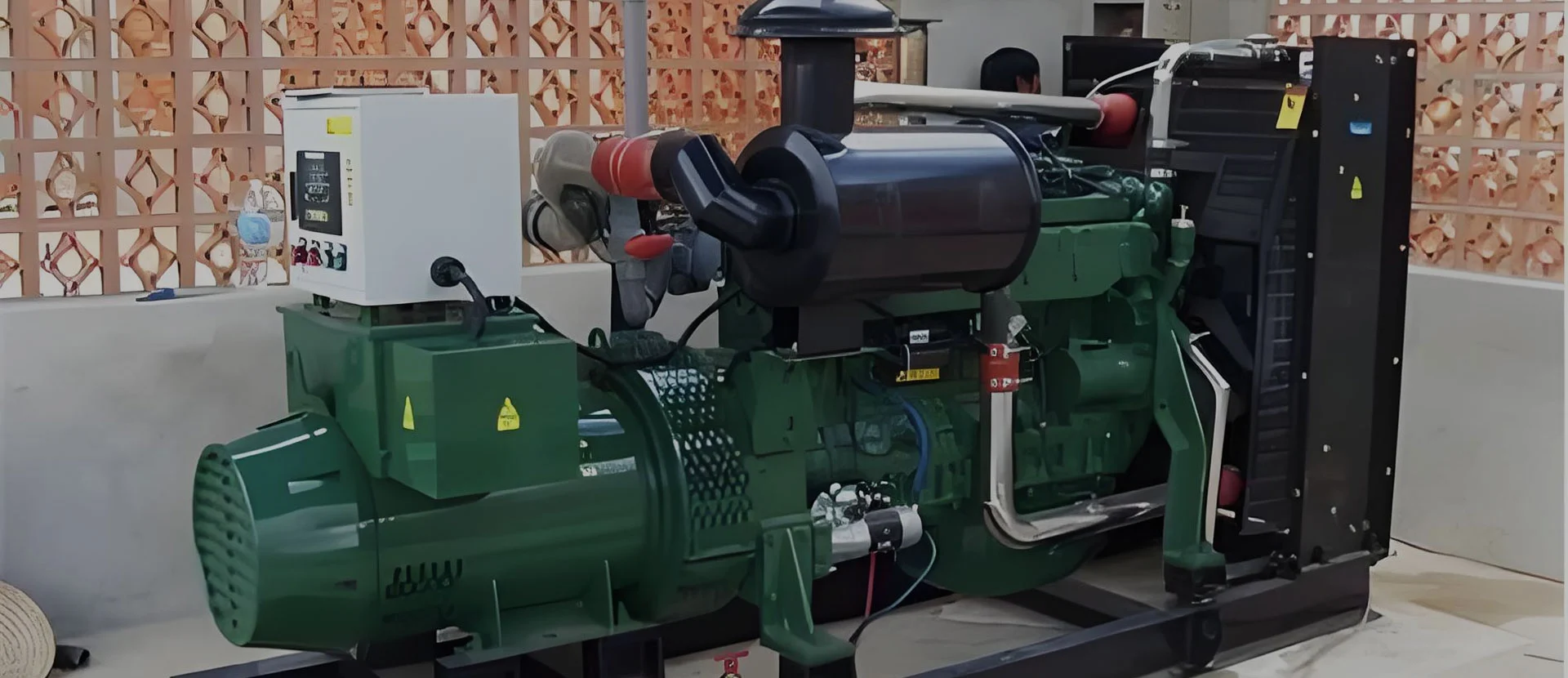 Biogas Generator fabrikatzailea